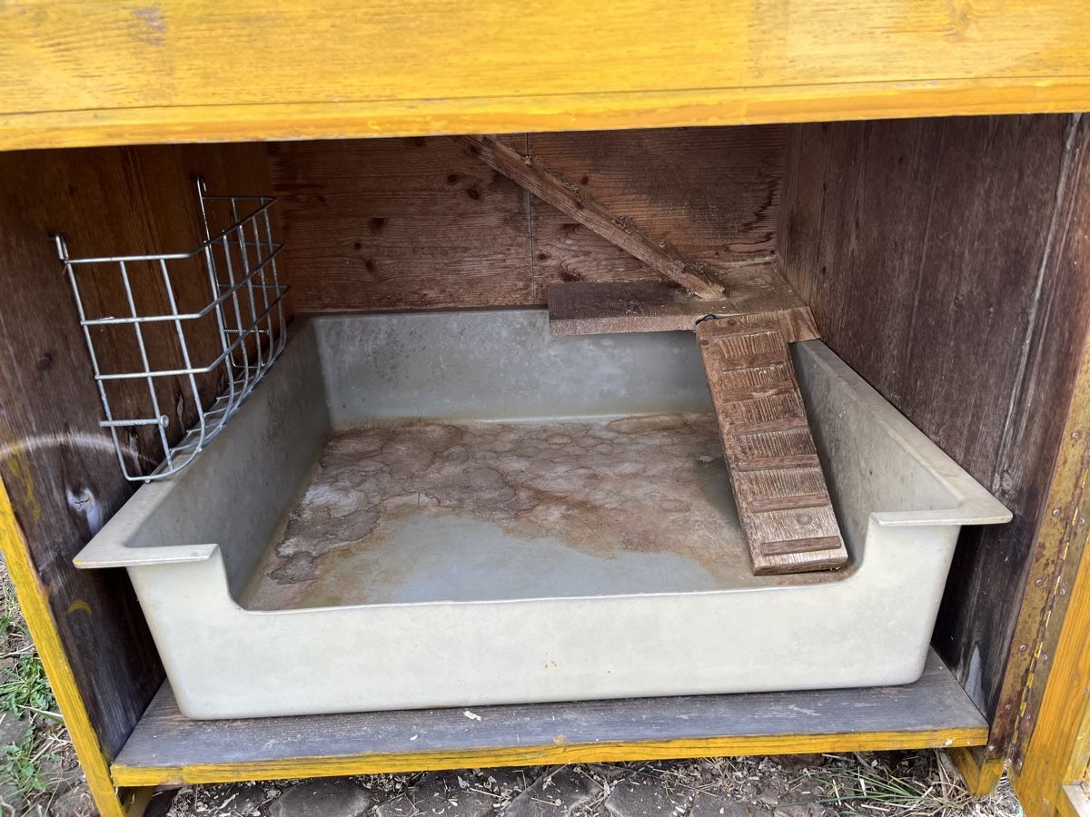 Gabbie, trasporto & Sicurezza: Massiver Meerschweinchenstall – Usato da Liebefeld venduto da luma22 4