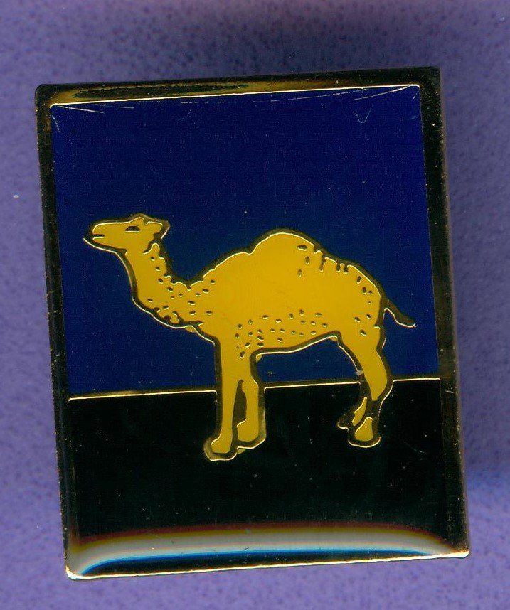Camel Plaketten & Abzeichen: CAMEL   – Gebraucht aus Winterthur von Sammleroase