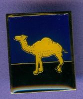 CAMEL  