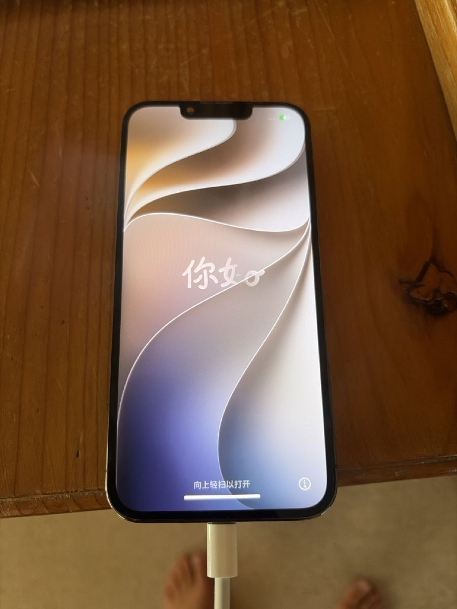 Apple Portables: iPhone 13 Pro  – Défectueux à Ebnat-Kappel par finrod83