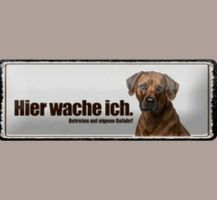 🔥 RHODESIAN RIDGEBACK Blechschild 🎀 27x10cm OVP 🔥