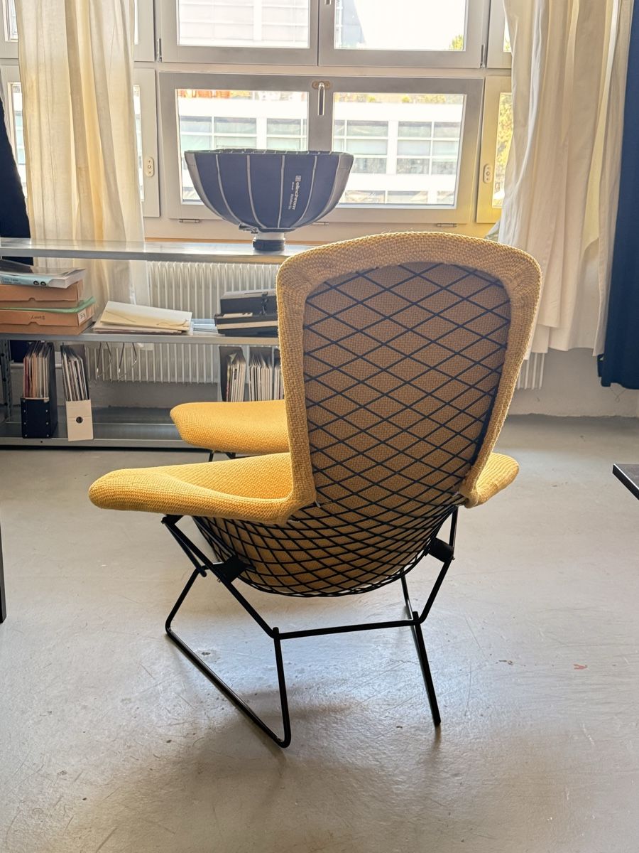 Poltrone: Design Sessel Knoll / Bertoria / Bird Chair – Usato da Zürich venduto da El-Ga 5