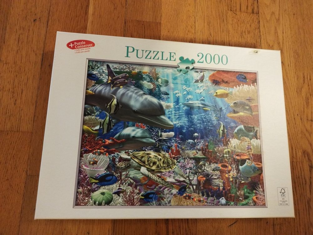 1000 Teile Puzzle Unterwasserwelt Mit Quallen & Korallen - Premium Puzzle Für Erwachsene Zur Entspannung