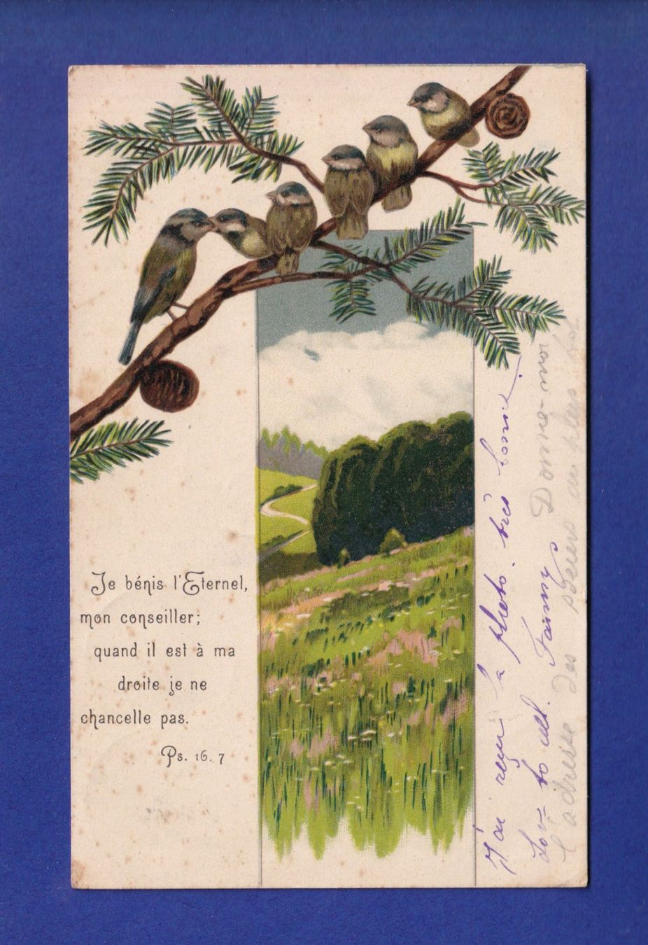 Ansichtskarten: OISEAU - Verset – Gebraucht aus Pully von nicecards-shop