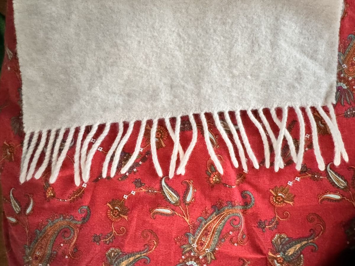 Foulard & Sciarpe: Kaschmirschal weiss – Usato da Winterthur venduto da thi_6f8k 4
