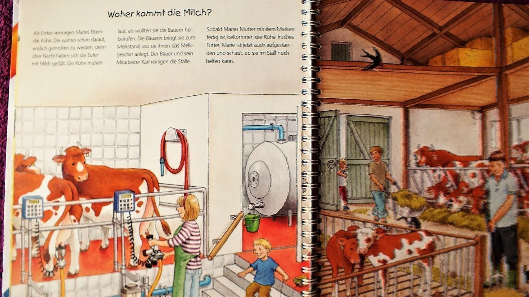 Libri: tiptoi Buch -  Entdecke den Bauernhof – Usato da Müllheim Dorf venduto da Seeeule01 3