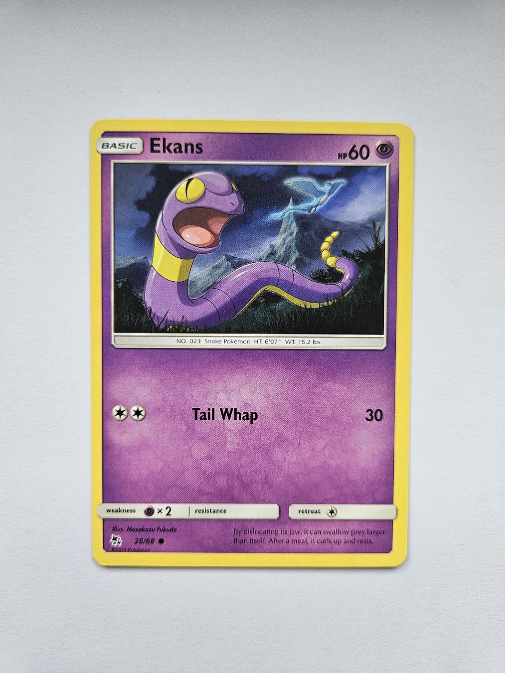Pokémon Carte collezionabili: Pokemon Ekans 26/68 Englisch – Nuovo (secondo la descrizione) da Sissach venduto da Nolle7