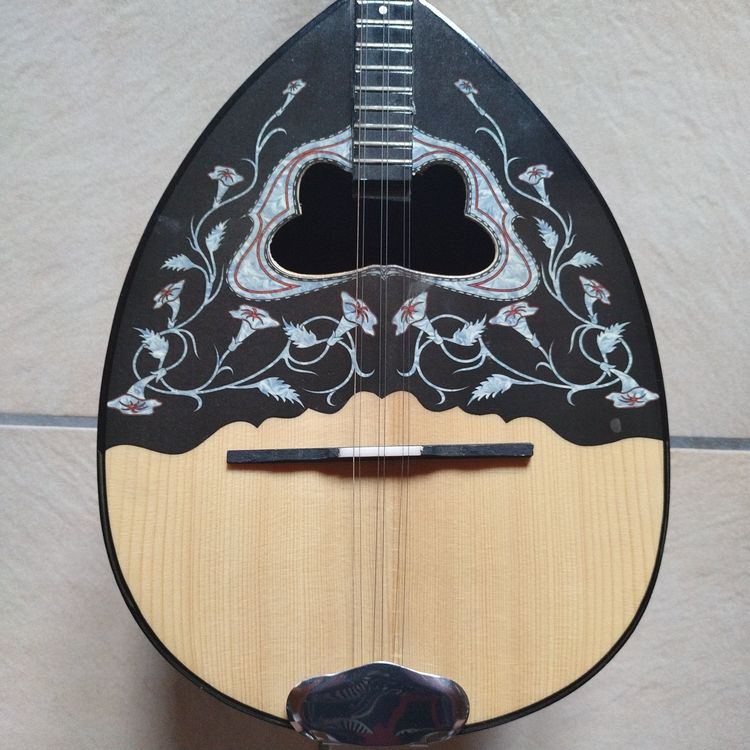 Bouzouki mit viel Zubehör Kaufen auf Ricardo