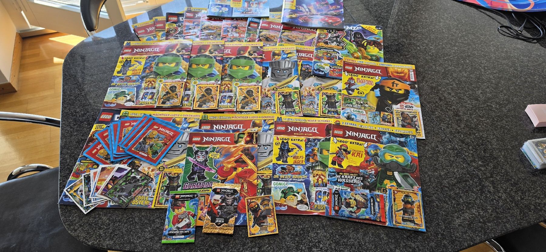 Comics: Lego Ninjago und Jurassic World – Gebraucht aus Aarau Rohr von Shad