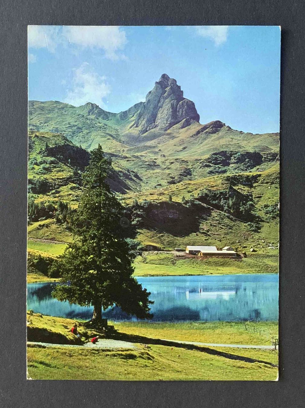 Cartoline postali: AK Seebenalp SG mit Sächsmoor – Usato da Goldau venduto da artelier1
