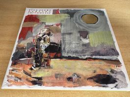 Villagers – Darling Arithmetic