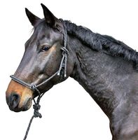 Pferde-Knotenhalfter mit Führstrick schwarz / weiss Ker