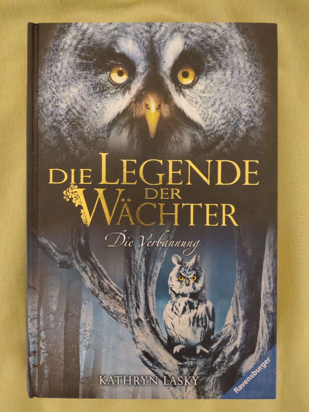 Livres: Die Legende der Wächter Bänder 7-15 – D'occasion à Burgdorf par allyyy 8