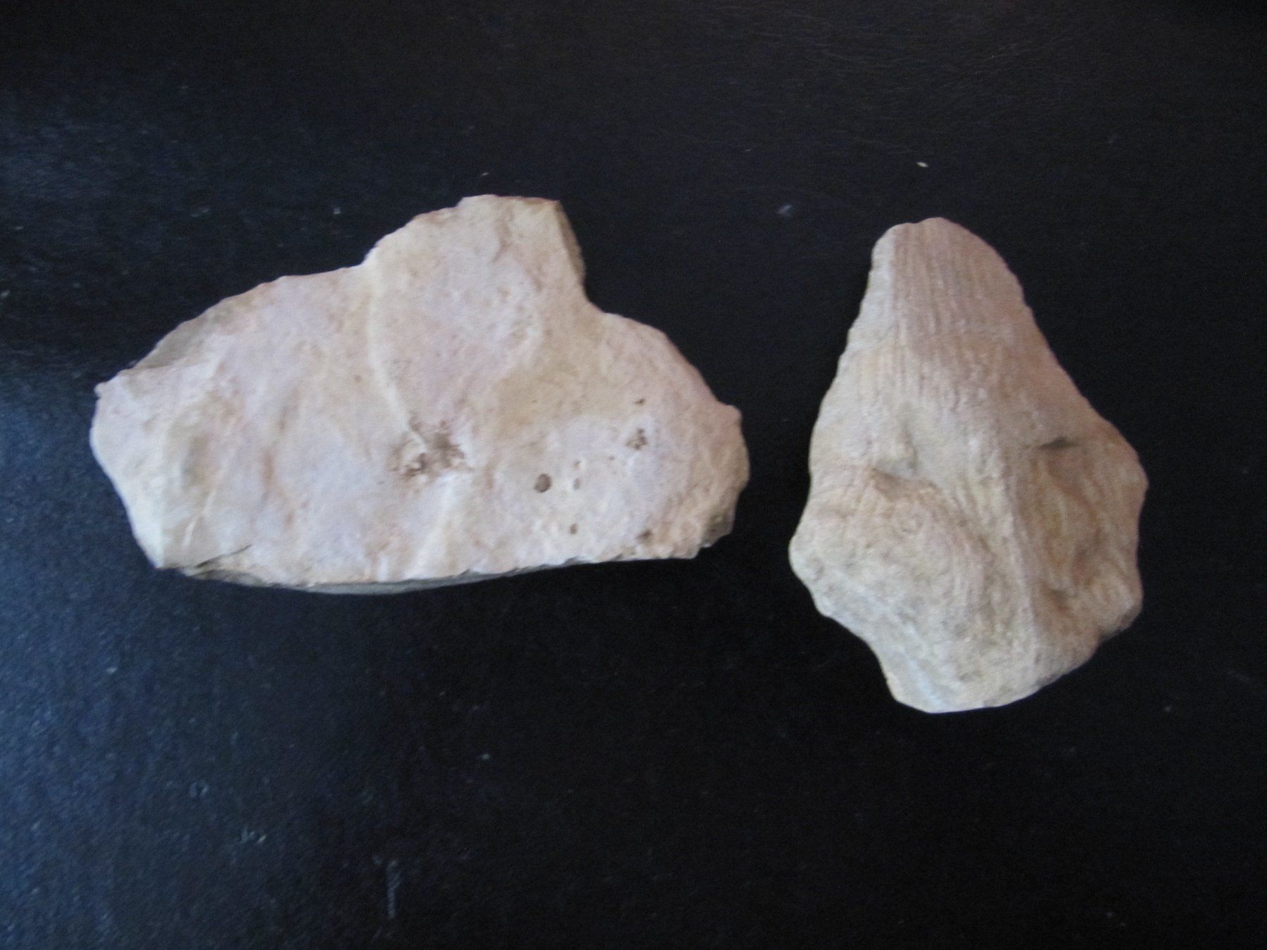 Minerali & Pietre curative: Fossilien-Set vom Jurasüdfuss – Usato da Selzach venduto da Sennemeitschi11 1