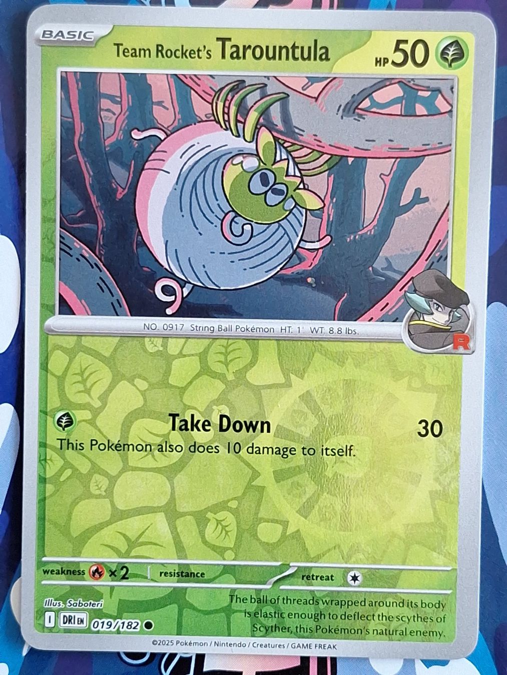 Pokémon Carte collezionabili: Tarountula - Reverse Holo Destined Rivals #1.9 – Usato da Altstätten SG venduto da GGsGameshop