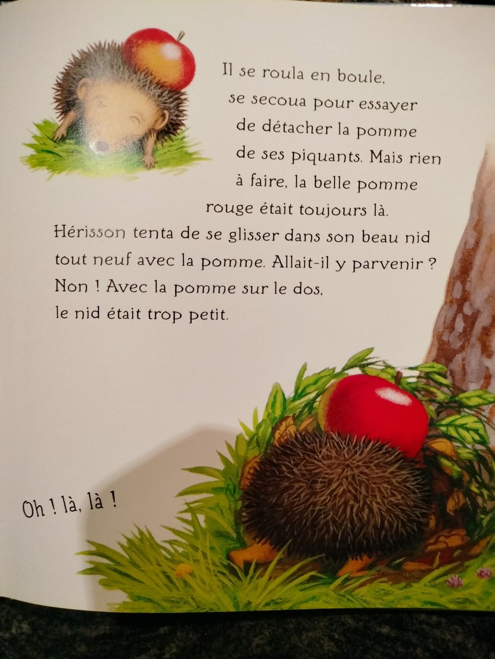 Bücher: La piquante aventure de hérisson – Gebraucht aus Cortaillod von rozinna 4