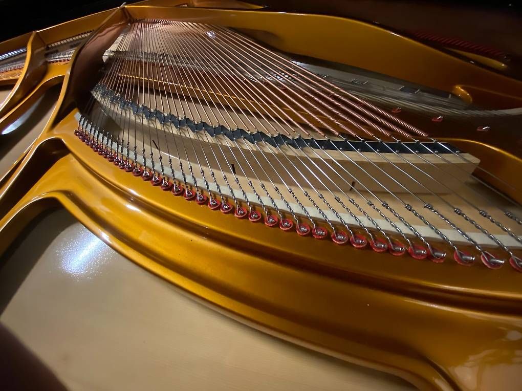 Strumenti musicali: Seiler Konzertflügel Modell 242 – Usato da Bern venduto da Heutschipiano 3