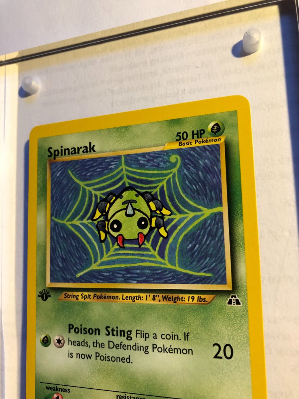 Carte collezionabili: Spinarak 1st Neo Discovery - MINT - ab 1.- – Usato da Giubiasco venduto da dan_pr8b 3