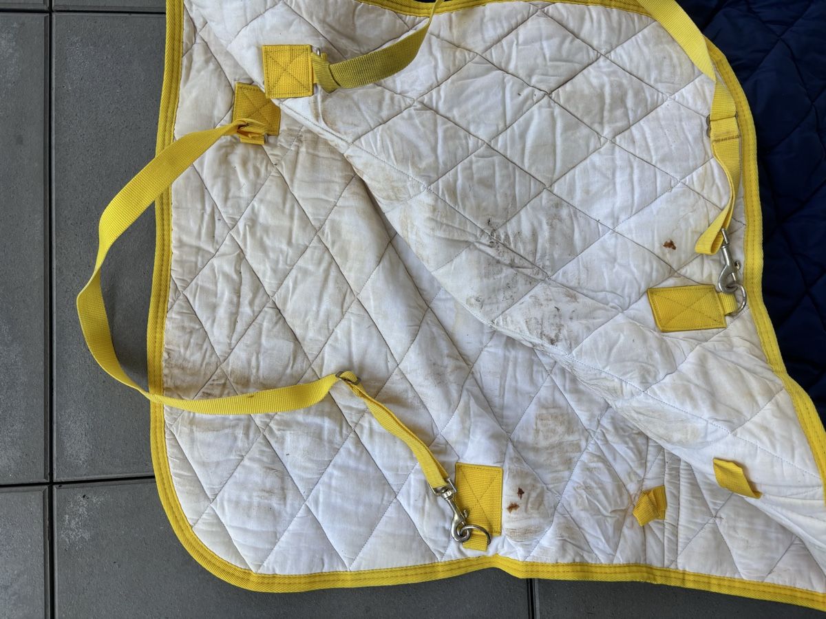 Couvertures: Pferdedecke 135 cm  – D'occasion à Escholzmatt par Princess112 1