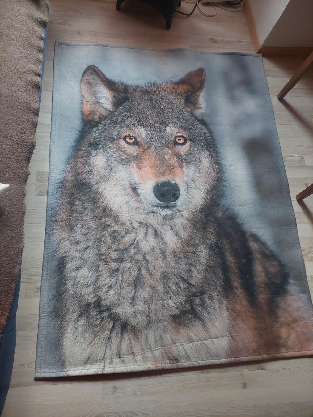 Conforama Tappeti: Teppich Wolf 160 x 120 – Usato da Rüttenen venduto da Pinie14