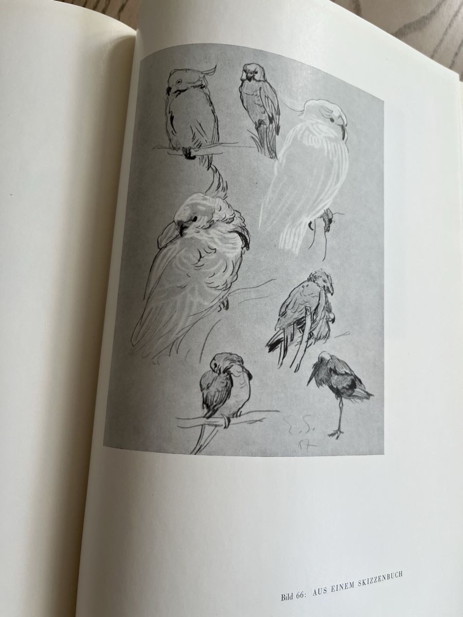 Libri: Ernst E. Schlatter - Monographie von 1943 – Usato da Romanshorn venduto da Apfelschuss 4