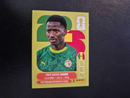 Panini WM 26 SEN 10