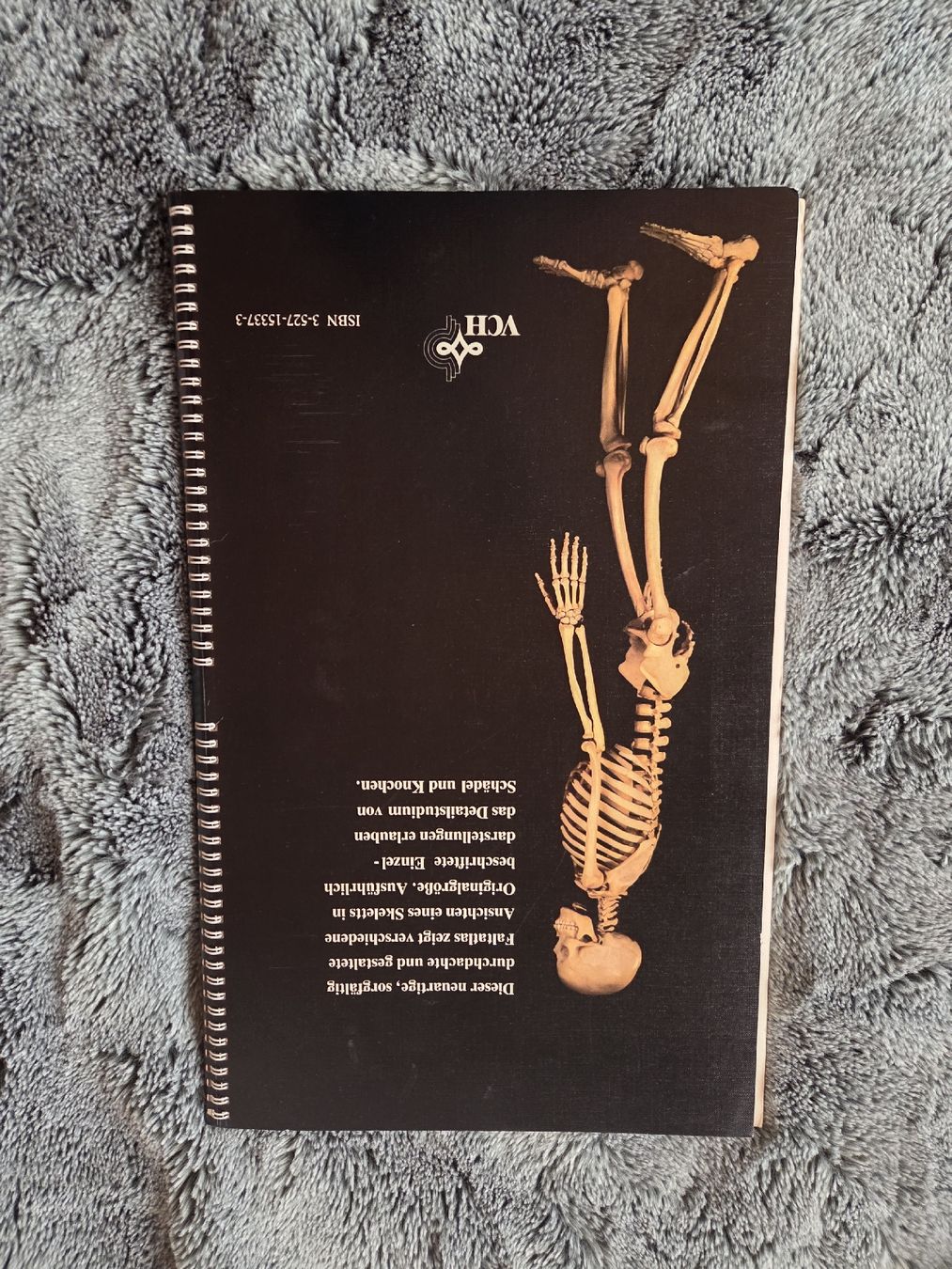 Libri: Das Skelett Faltatlas – Usato da Bühler venduto da ros_5qfr 5