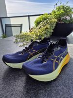 ASICS Gel Kayano Gr. 44