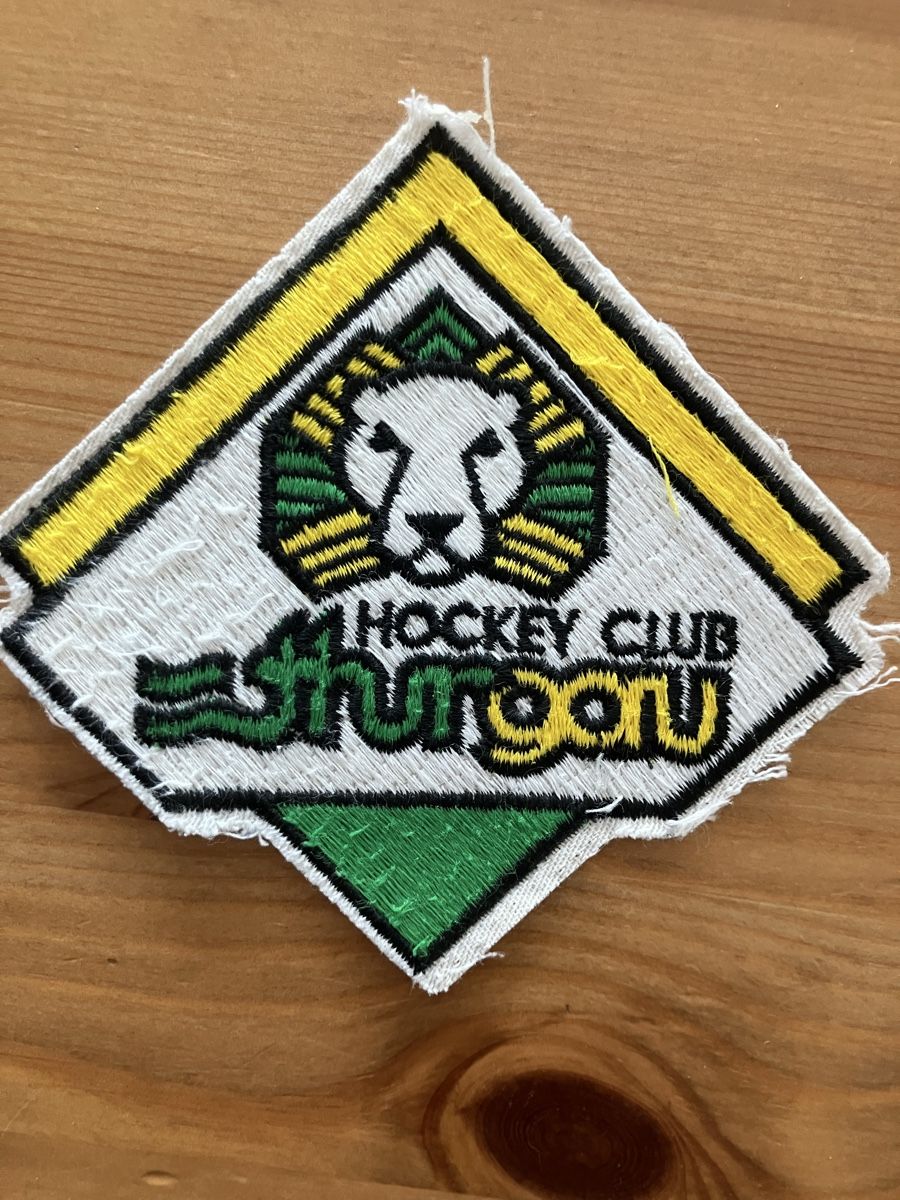 Tutte le decorazioni: HCT Hockey – Usato da Bettwiesen venduto da Jumpingfox 1