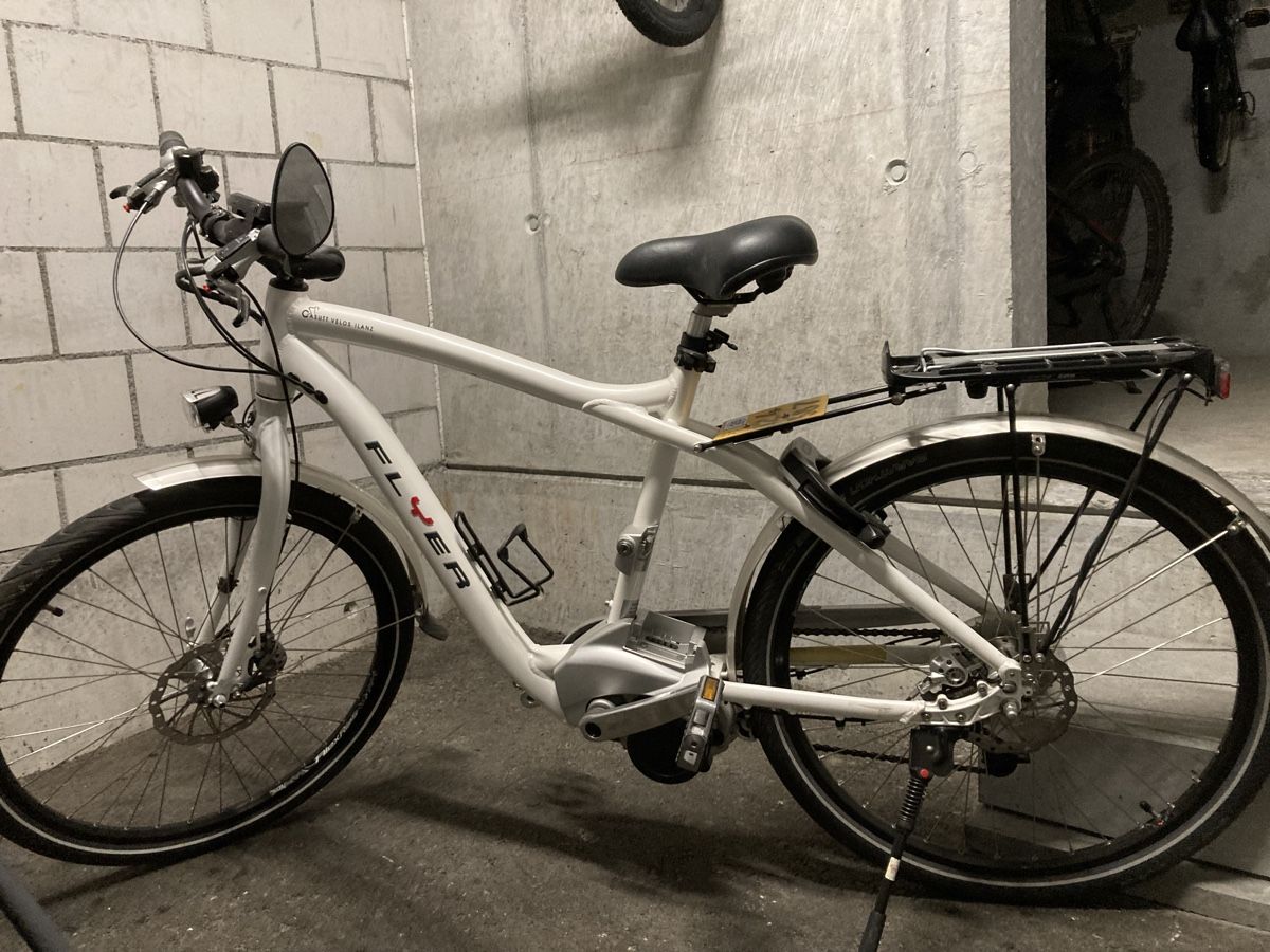Flyer Biciclette: Flyer Elektrobike – Usato da Ilanz venduto da Largo07 1