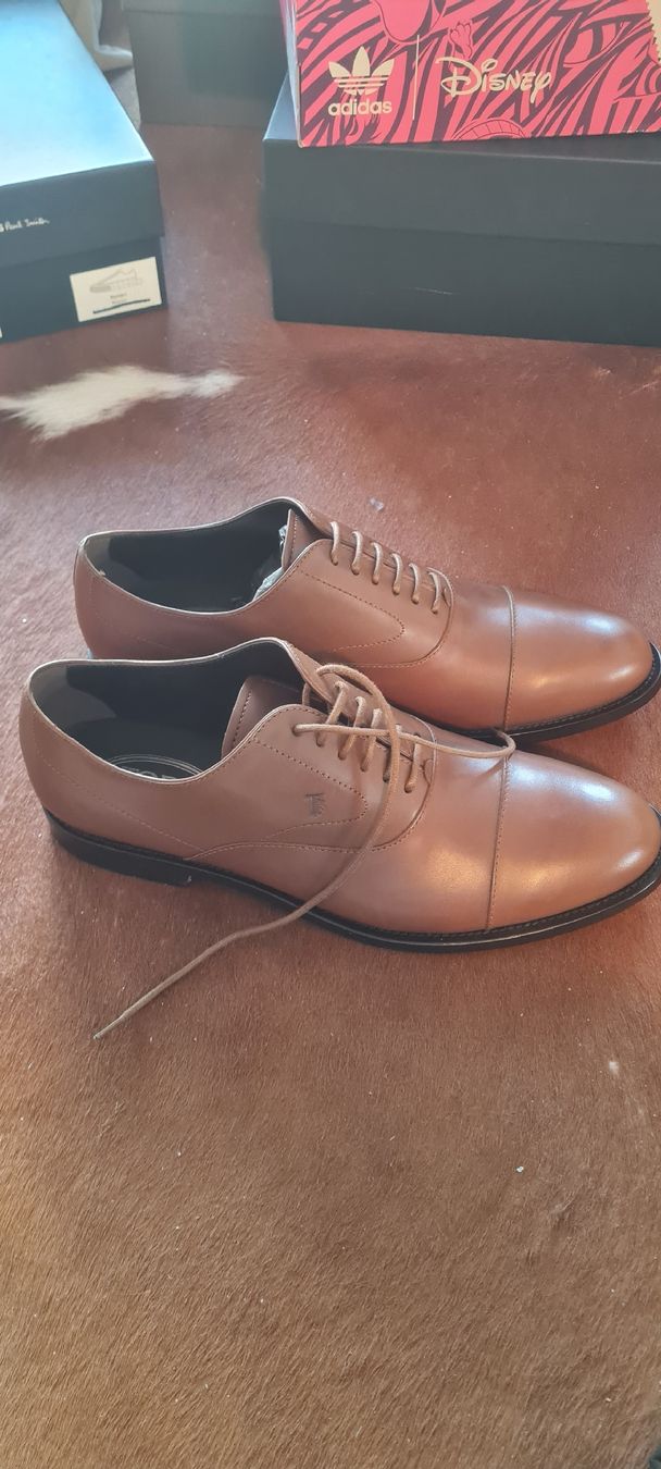 Tod'S Scarpe da uomo: Tods Schnürschuhe Leder Neu 42 – Nuovo e nell'imballaggio originale da Altendorf venduto da nab_mxj7 1