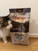 Katzenfutter zu verschenken