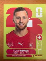 Panini SUI8