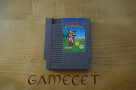 NES Open Tournament Golf