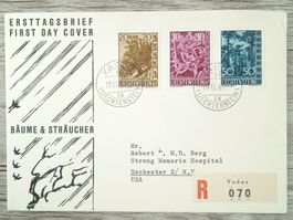 TR97 Enveloppe + Timbre Liechtenstein 1960 To USA