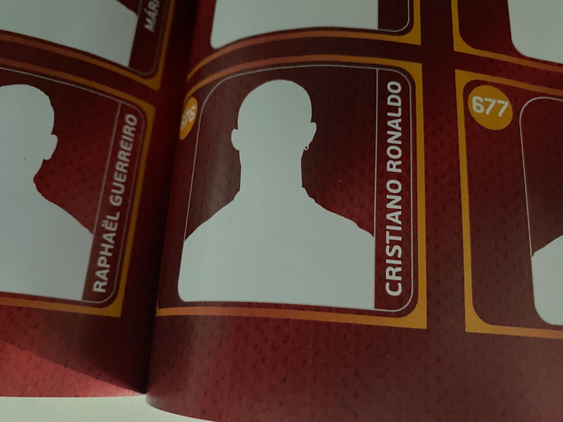 Panini Alben: Panini Stickeralbum UEFA EURO 2020 – Pearl Edition (leer) – Gebraucht aus Hergiswil LU von FcMalkov 6