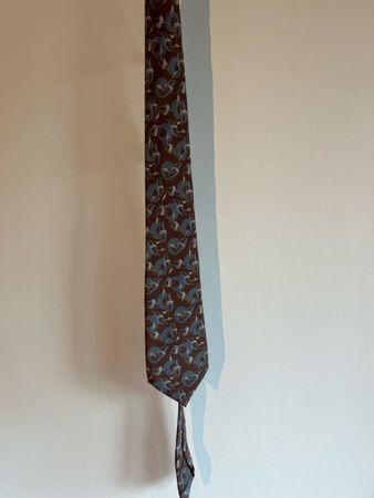  Herren-Seidenkrawatte von Rian Pucci