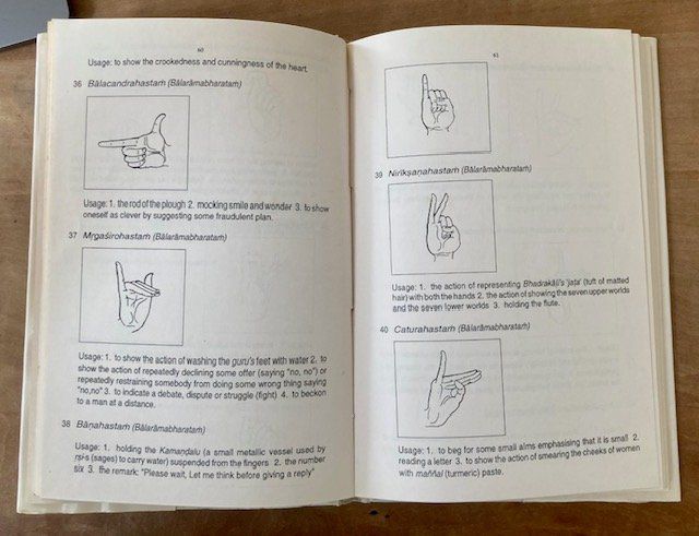 Libri: Indischer Tanz Mohiniyattam (Buch) – Usato da Dürnten venduto da Scheidegg32 2