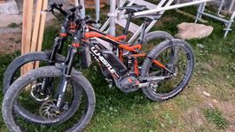 Whistle Birush E-Bike Elektrovelo