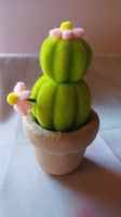 neu: Filz Kaktus mit Blüten, Deko