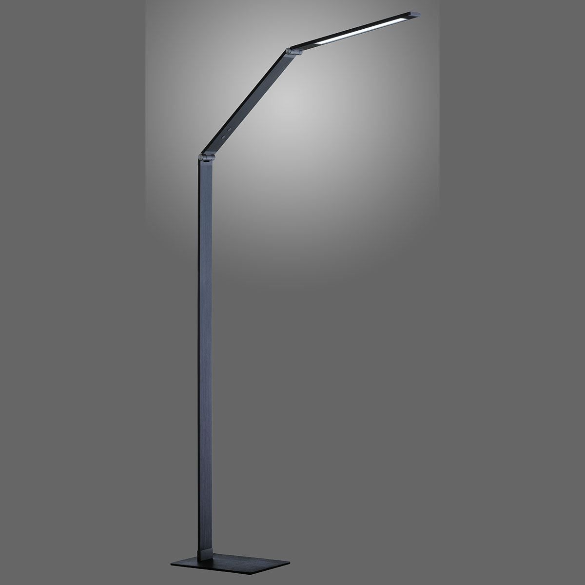 Lampen: LED Stehleuchte, Klappbar, Dimmbar – Neu (gemäss Beschreibung) aus Kreuzlingen von Smart-Light 1