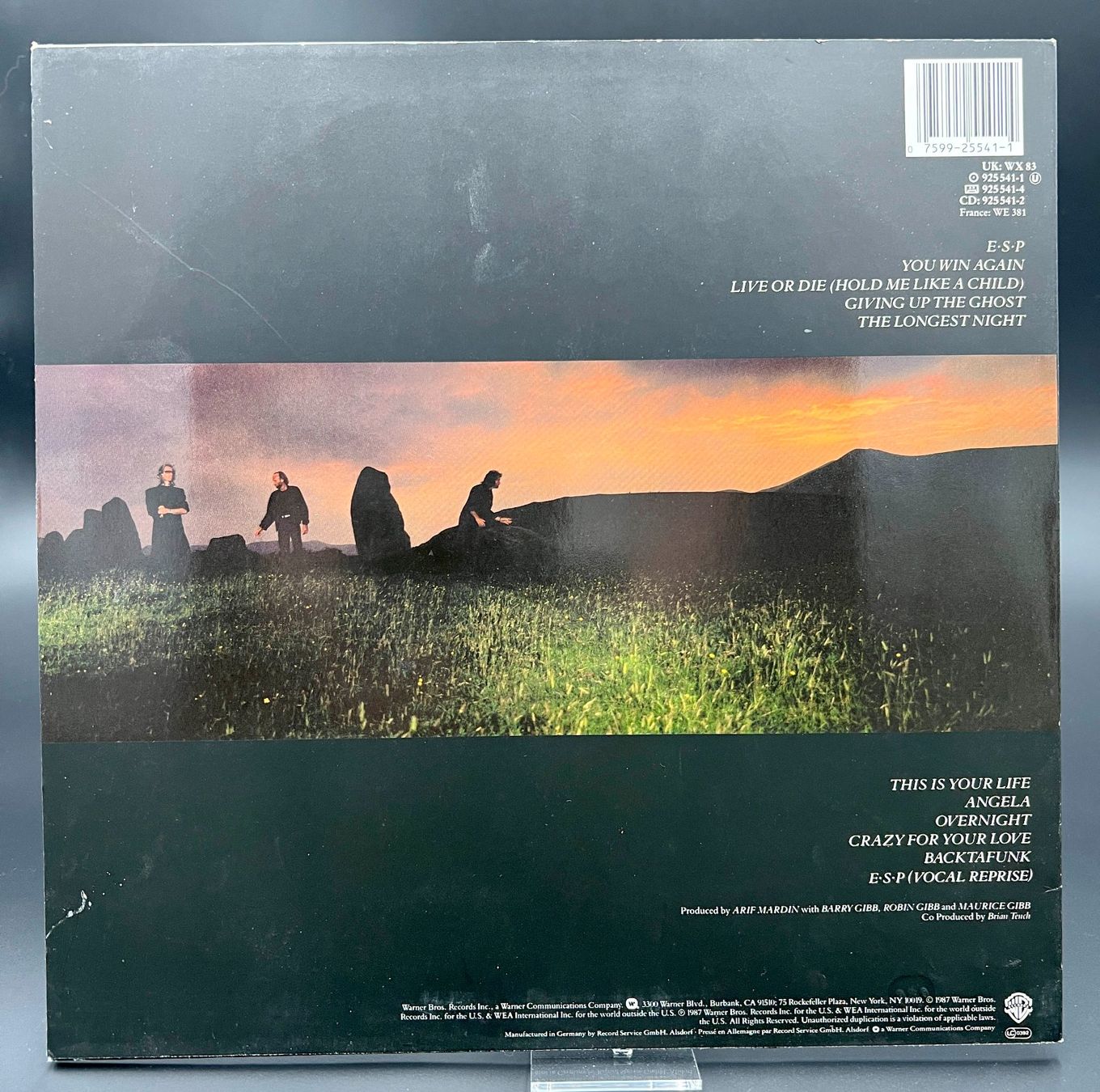 Dischi in vinile: Bee Gees LP 1987 -  E · S · P – Usato da Häusernmoos venduto da platten-teller 2