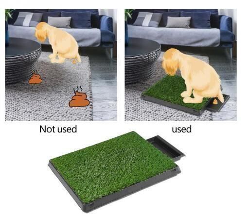 WC: Hunde Welpe Toilette Trainer pads – Nuovo (secondo la descrizione) da Thun venduto da Laoye 7
