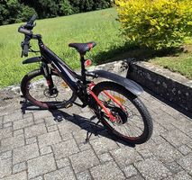 Wunderschönes Totem Velo 