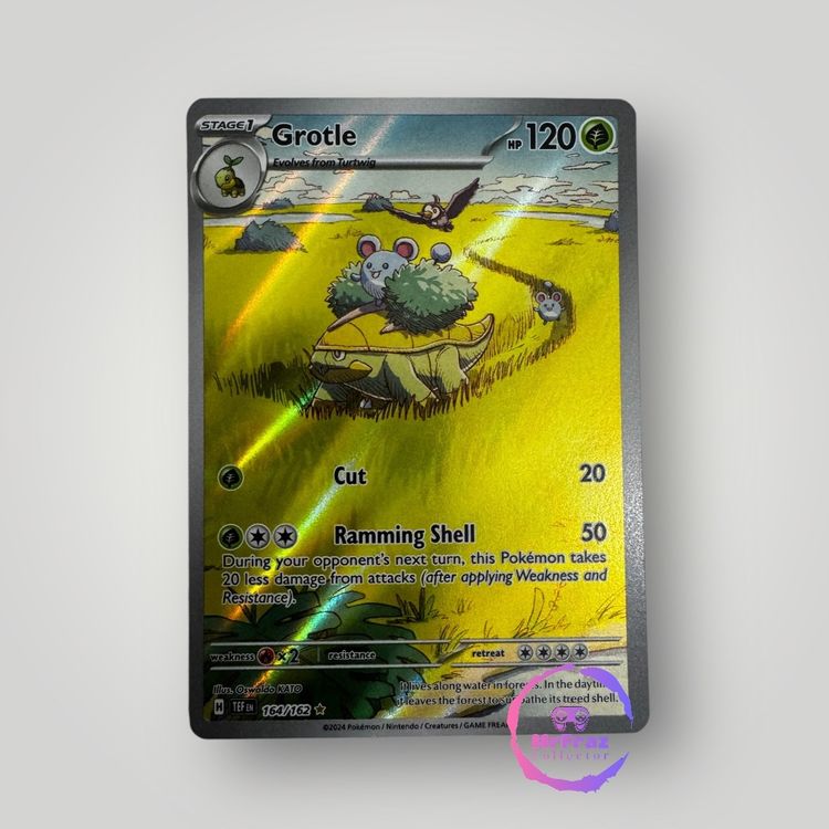 Pokémon Grotle #164 Full Art / 2024 Temporal Forces (Neu (gemäss ...