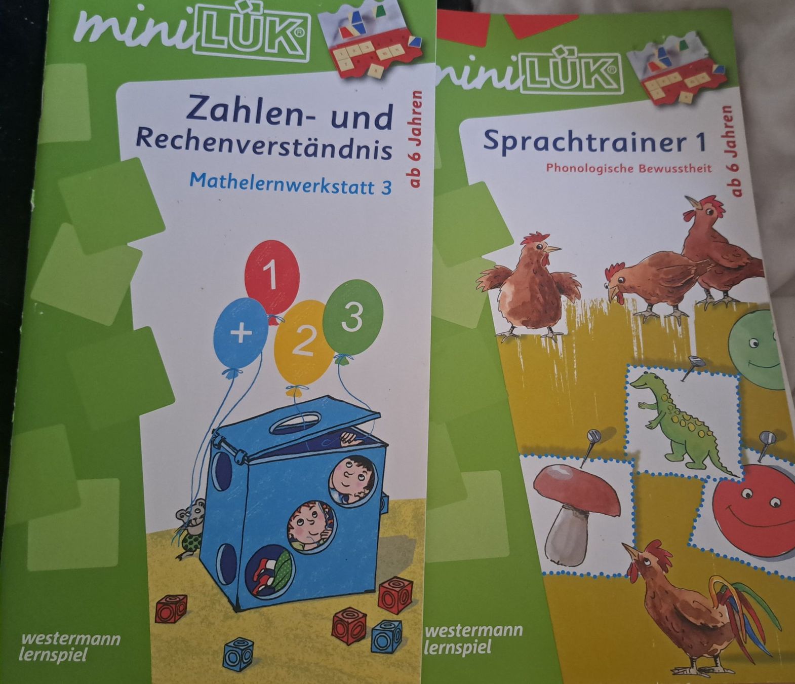 Bücher: Mini Lük Hefte ab 6 Jahren – Gebraucht aus Dietikon von nat_jwf5
