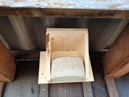 Schwalbennest Nistkasten