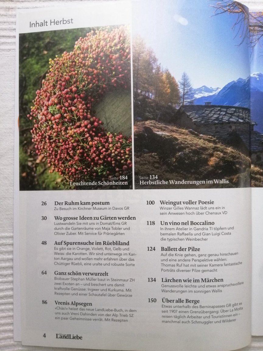 Revues & Magazines: Landliebe Herbst 2020 – D'occasion à Langenthal par Handstrick 1