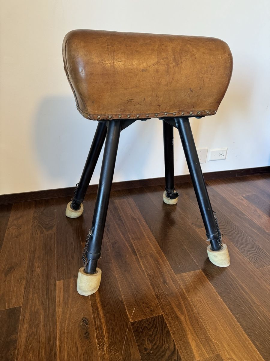 Hocker: Turn Bock, Sprung Bock, Pferd, Alder Eisenhut – Gebraucht aus Teufen ZH von MarioSco 1