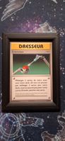 Entretien 79/108 - Pokemon Evolutions FR